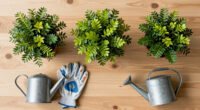 13 Best Easy-To-Grow Garden Shrubs in 2026