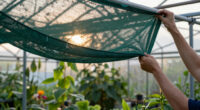 14 Best Garden Shade Cloths in 2026