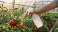 15 Best Garden Pest Control Treatments in 2026