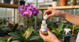 15 Best Orchid Fertilizers in 2026