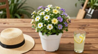 15 Best Summer Blooming Flowers in 2026