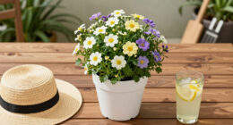 15 Best Summer Blooming Flowers in 2026