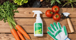 15 Best Vegetable Garden Fungicides in 2026