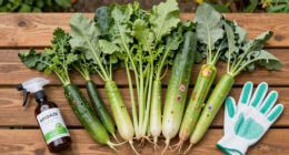 6 Vegetable Diseases To You'll See In July – Treat Them Now Before They Ruin Your Crops