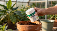 7 Best Moisture Retaining Soil Additives in 2026