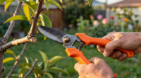 9 Best Garden Loppers in 2026