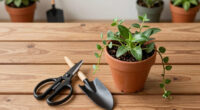Houseplant Hacks: Should I Pinch Out Trailing Plants For Bushier Growth?