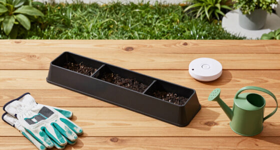 How to keep groundhogs out of your garden