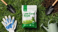 Most Gardeners Have Never Heard of This Lawn Product That Helps Grass Survive Extreme Heat