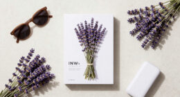 What to Do with Your Lavender in July Heatwaves to Extend the Blooming Season for As Long as Possible