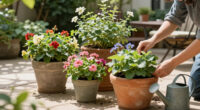 10 Best Patio Planters in 2026