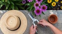 11 Best Perennial Garden Shears in 2026
