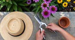 11 Best Perennial Garden Shears in 2026