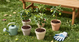 12 Best Fruit Trees For Small Yards In 2026