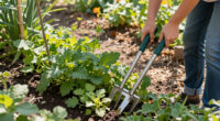 12 Best Garden Weeding Tools in 2026