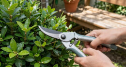 13 Best Garden Pruning Tools in 2026