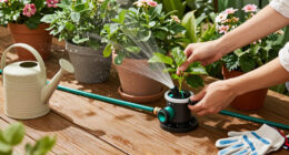 15 Best Automatic Plant Watering Systems for Happy Plants in 2026