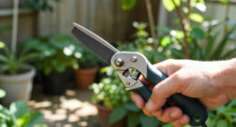 15 Best Garden Tool Sharpeners in 2026