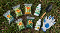 3 Best Daylily Garden Fertilizers in 2026