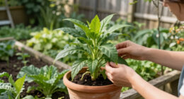 4 Clever Landscaping Tricks That Keep Pests Out – Stop Ticks, Ants, And Mosquitoes With These Natural Barriers