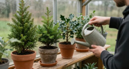 6 Best Winter Garden Plants in 2026