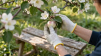 7 Best Self-Pollinating Fruit Trees in 2026
