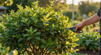 8 Plants You Should Never Prune In August – No Matter How Messy Or Overgrown They Look