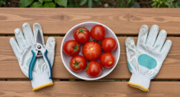 8 Things To Do When You Have An Explosion Of Cherry Tomatoes
