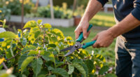 August Is Your Last Chance To Prune These 6 Plants Before It's Too Late For Next Year