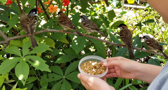 I Found A Way To Feed Birds And Banish Slugs At The Same Time – And It Costs Almost Nothing