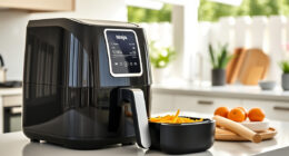 Summer Grilling’s Cool Companion: Ninja Air Fryer XL Review