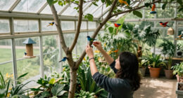 These 6 Bird Accessories Are On Sale Now At Target – Stock Up To Support Migrating Birds Before They Head South