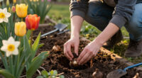 10 Best Fall Flowering Bulbs in 2026
