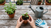 10 Best Urban Gardening Supplies in 2026