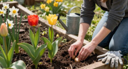 11 Best Spring Flowering Bulbs in 2026
