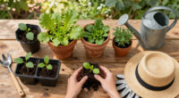 14 Best Vegetable Gardening Containers in 2026