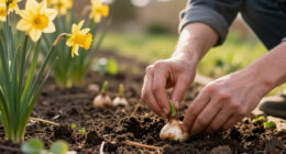15 Best Daffodil Bulbs in 2026