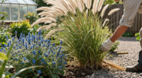 15 Best Ornamental Grasses for 2026