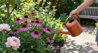 15 Best Perennial Garden Plants in 2026
