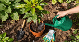 15 Best Tree Watering Bags in 2026