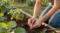 5 Easy-to-Grow Native Plants You Can Harvest From Seed In September To Expand Your Garden For Free – And Support Local Wildlife