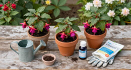6 Best Fertilizers for Fuchsias in 2026