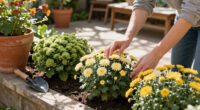 7 Low-Maintenance Fall Flowers That Look Spectacular With Barely Any Effort