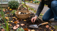 9 Bulbs To Plant In October For Striking Fuss-Free Flowers Come Spring – Even Beginner Gardeners Will Get Great Results