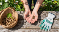 Can You Take Seeds From Public Plants? The Legal Rules Gardeners Should Know Before Pocketing Seed Pods