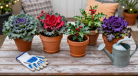 Fill Patio Pots With Vibrant Plants That Last From Fall Into Winter For A Wonderfully Colorful Cool-Season Display