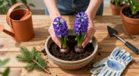 How To Plant Hyacinth Bulbs In September For Bowls Of Fragrant Christmas Flowers