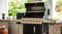 Master Summer Grilling with Ninja OG951 Woodfire Pro Connect