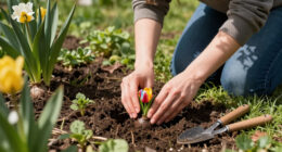 Meet Your Birth Month Bulb – And The Meaning Behind All 12 Beautiful Spring Blooms