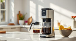 Ninja Hot & Iced XL Coffee Maker: Perfect Summer Brew Companion